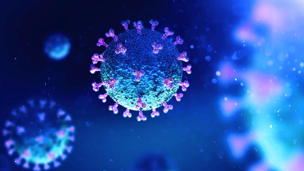 imagem de computador de vírus, em azul e roxo