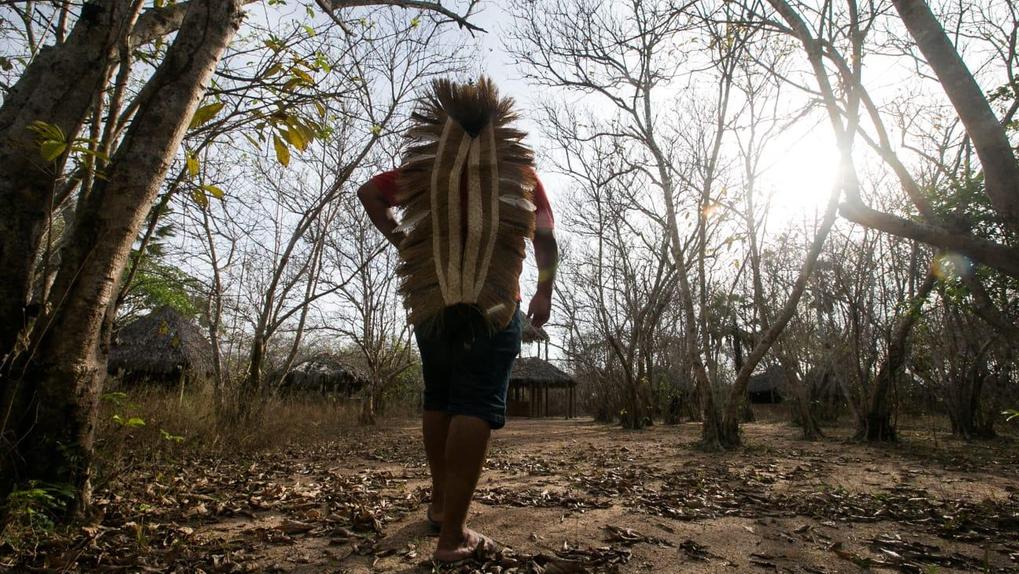 Quatro terras indígenas do Ceará serão demarcadas em cooperação entre Estado e Funai