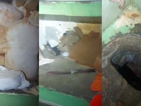 Capturas de tela de vídeo que mostra cela de onde preso escapou em Itaitinga