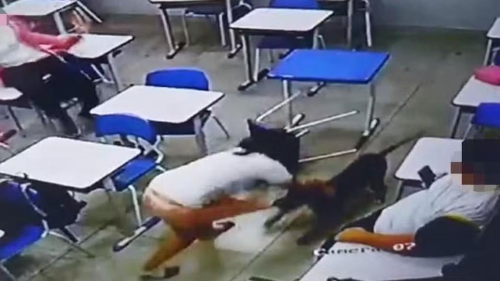 Print de vídeo de adolescente sendo mordida por pit bull