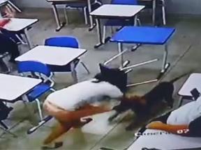 Print de vídeo de adolescente sendo mordida por pit bull