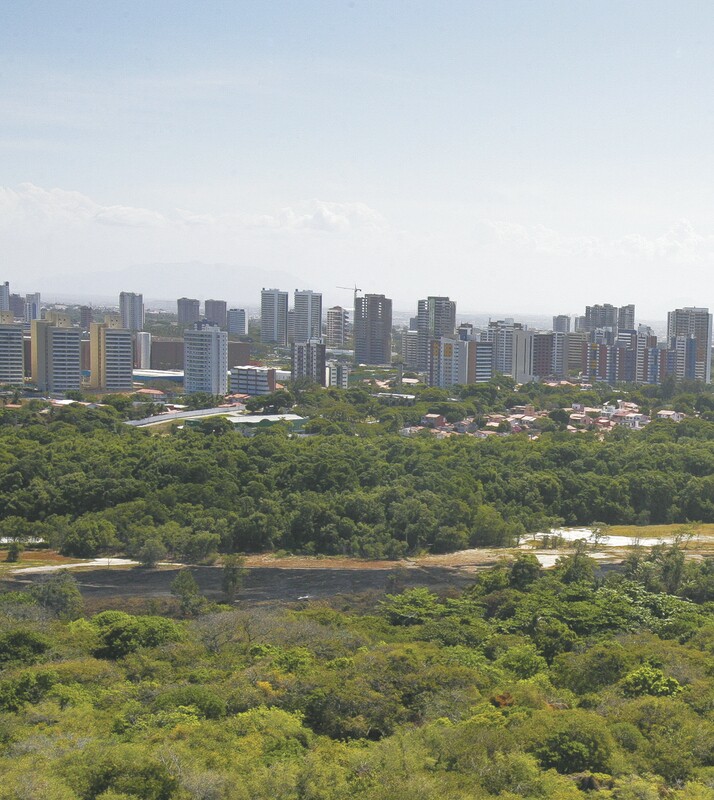 O Parque do Cocó, que foi atingido por fogo na semana passada, é um dos pontos recorrentes de incêndios em Fortaleza 