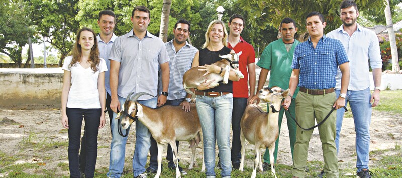 A experiência realizada por pesquisadores da Unifor foi destaque em todo o Brasil e no mundo. Os especialistas acreditam que um rebanho de quatro cabras é suficiente para atender à necessidade do medicamento no País 