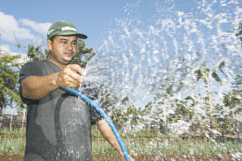 Depois de trabalhar longe de sua terra natal por duas vezes, sem obter êxito, o agricultor Antônio José Ferreira voltou à comunidade Pató, no município de Caridade, e investiu na criação de uma horta, de onde tira o sustento da família 