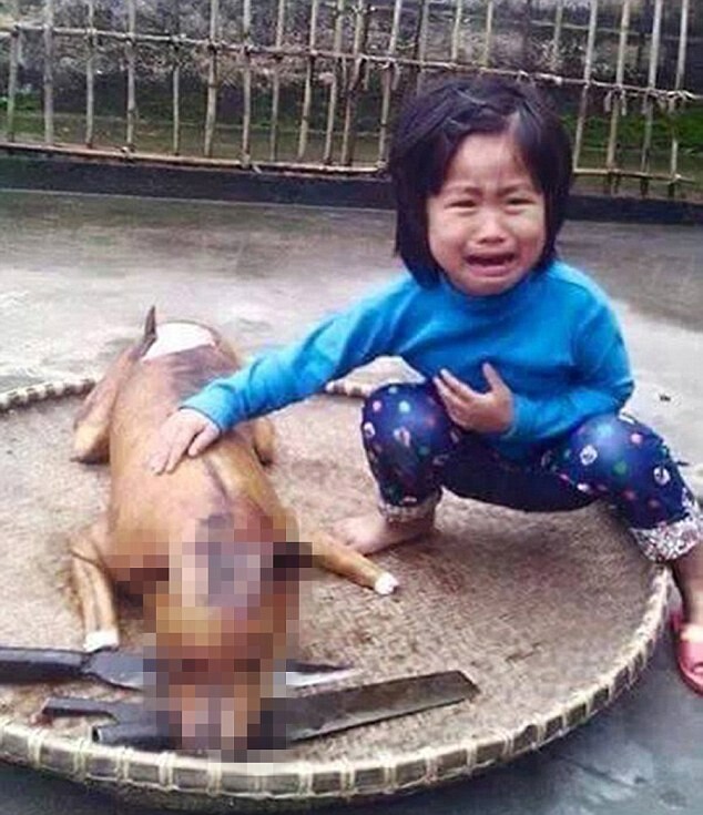 O cachorro havia desaparecido alguns dias antes de a menina o encontrar cozido em uma barraca especializada neste tipo de carne