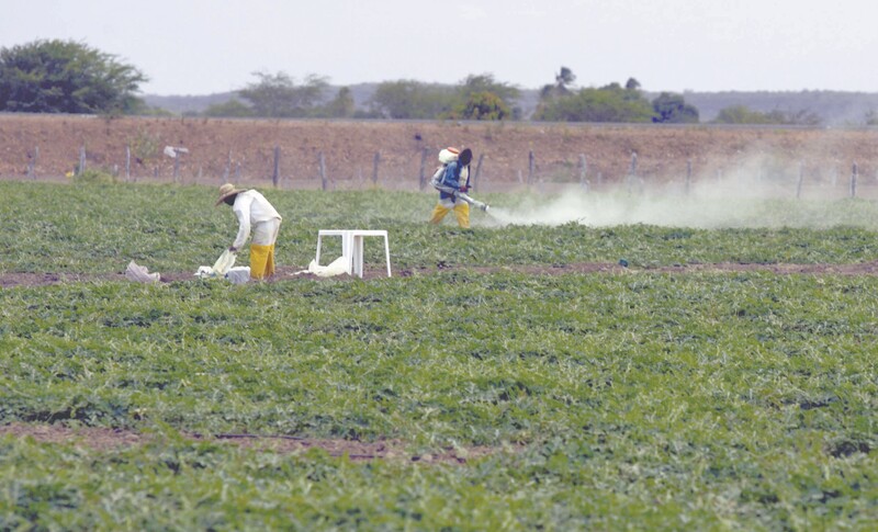 O Brasil é o maior consumidor de produtos químicos pesticidas no mundo 
