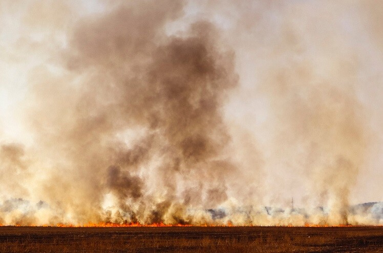 Resultado de imagem para fotos Focos de queimadas no Ceará em 2018 já se igualam ao total registrado em janeiro de 2017