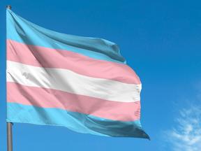 Bandeira que representa pessoas trans