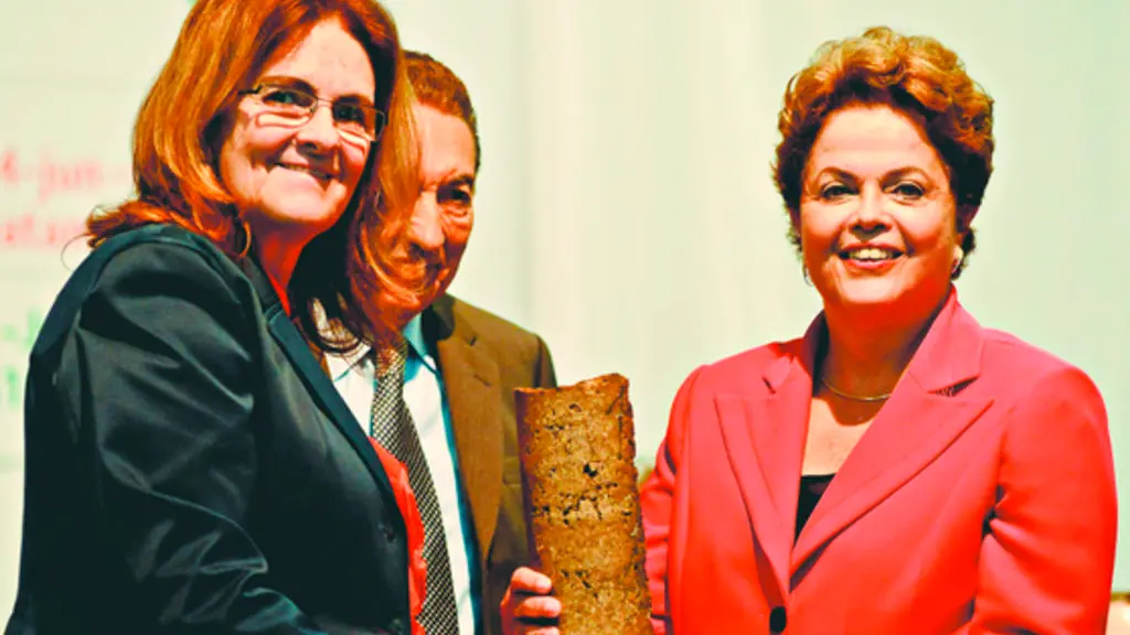 capa da noticia