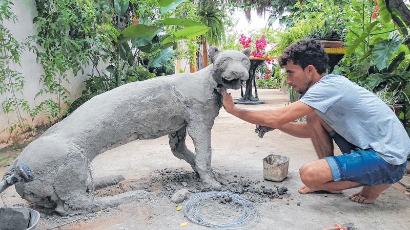 Trilha dos animais em 2023  Jogos com animais, Ensino criativo, Animais