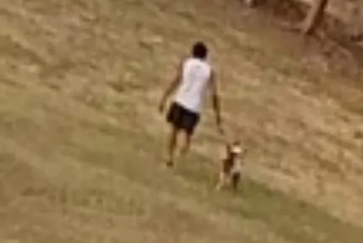 Ainda segundo os vizinhos, o responsável adestra os cães para matar os filhotes