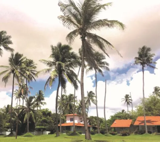 'Chepa', através de um 'laranja', alugou casas em um condomínio de luxo na Praia da Taíba, no Ceará