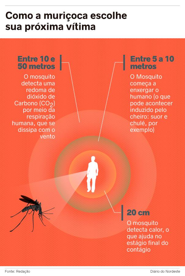 Por que muriçocas preferem picar algumas pessoas a outras? - Metro ...