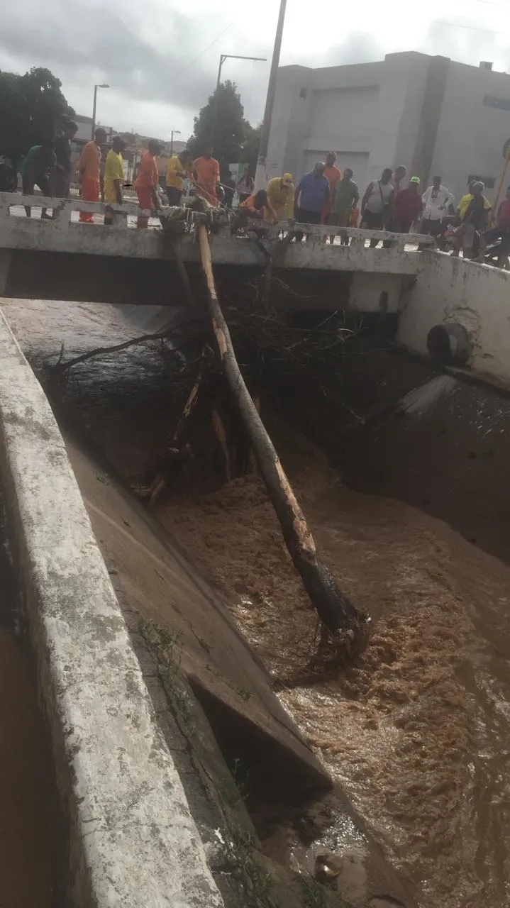 Árvore caída dentro do canal do Rio Granjeiro, que corta o município