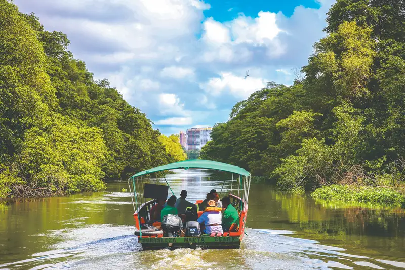 Coco Al Rio Rio Cocó: novo passeio para a população busca ampliar preservação ...