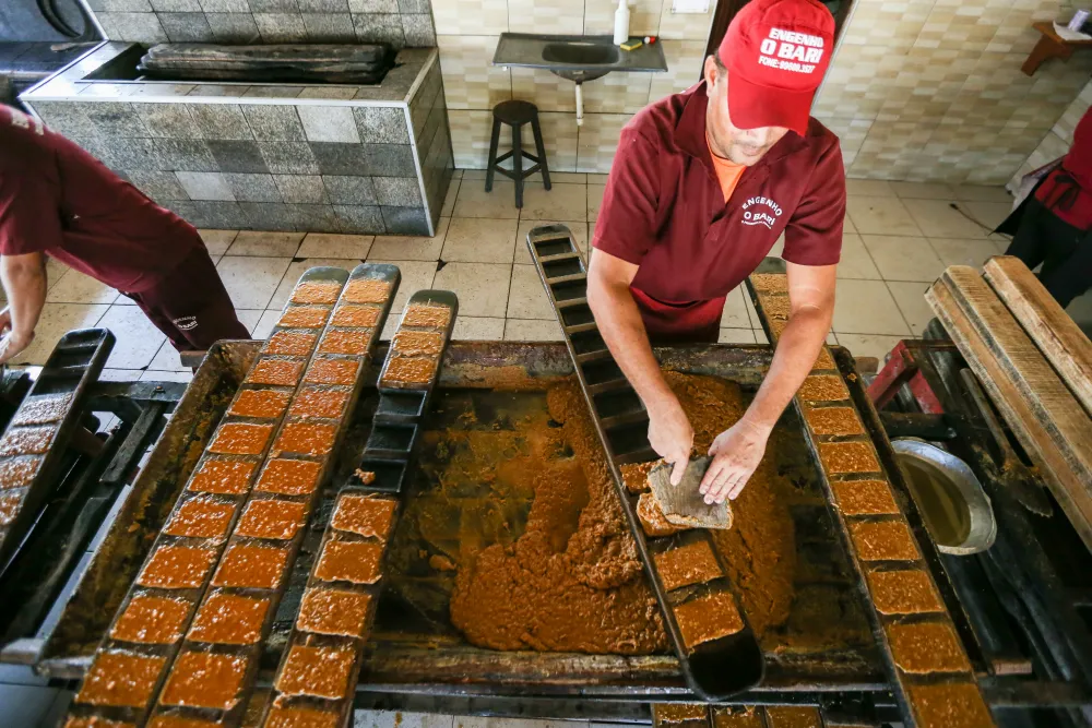 Uma das últimas partes do processo de produção da rapadura é a modelagem