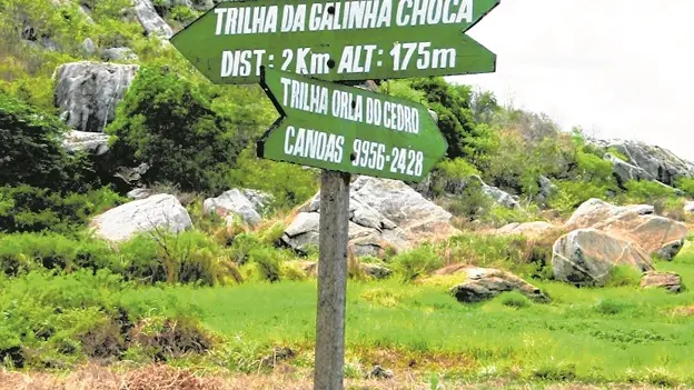 capa da noticia