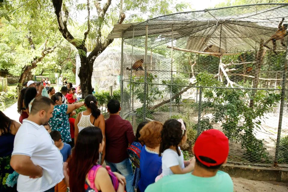 As famílias curtiram o zoológico, passeio tradicional do parque
