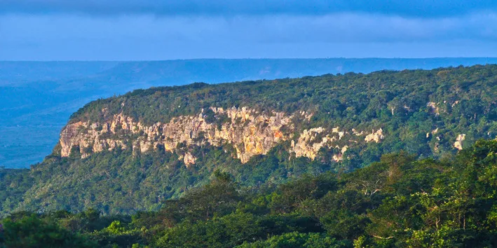 A região da Chapada do Araripe guarda riquezas naturais e paleontológicas