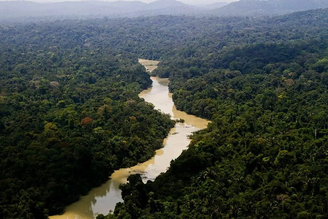 O Fundo Amazônia é um mecanismo de captação de recursos para apoio a ações de prevenção, monitoramento e combate ao desmatamento,