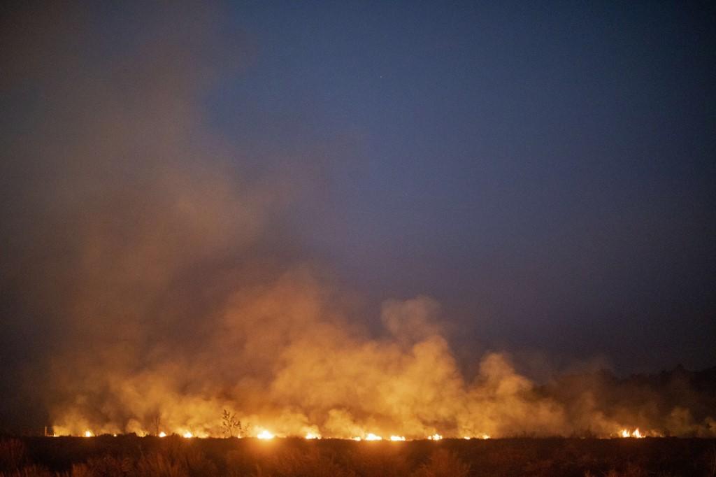 Empresa sueca suspende compra de couro do Brasil por incêndios na Amazônia  - País - Diário do Nordeste