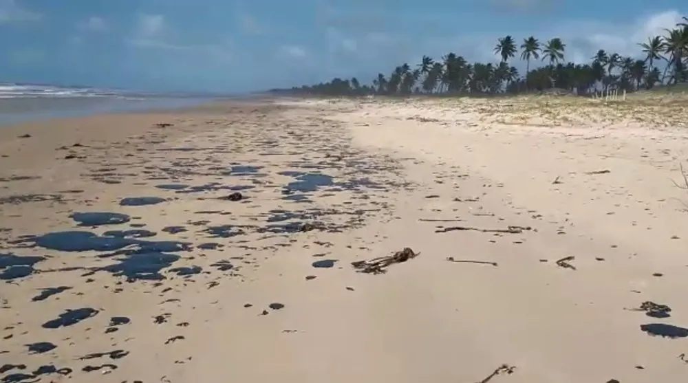 Praia cearense atingida pelo óleo vazado