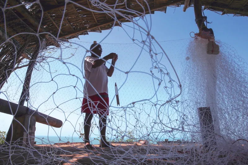 No Ceará, os pescadores artesanais aparecem em maior quantidade (5.580).