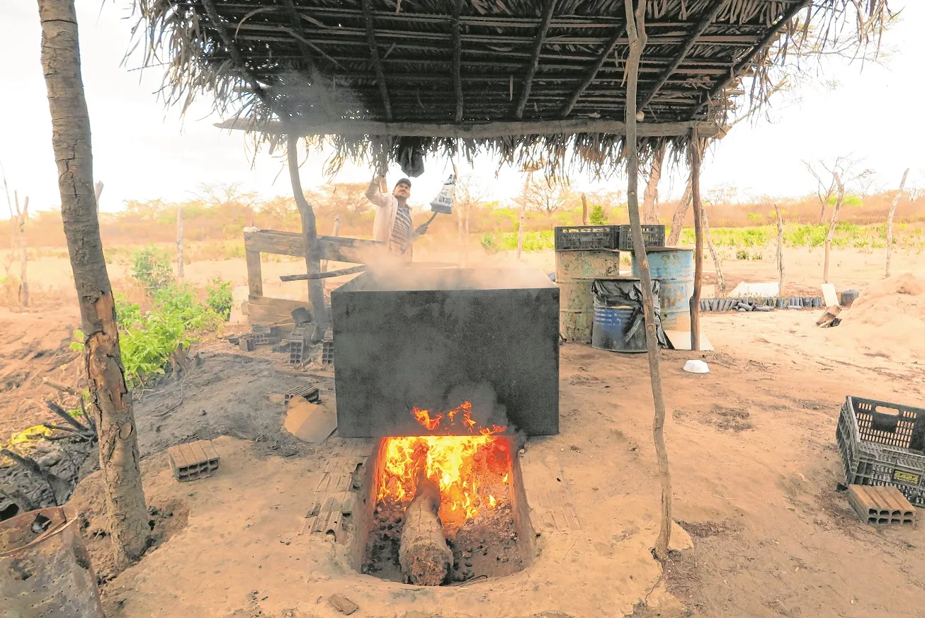O pequi que não foi consumido pelo fogo é transformado em óleo.Esse processo agrega valor ao fruto