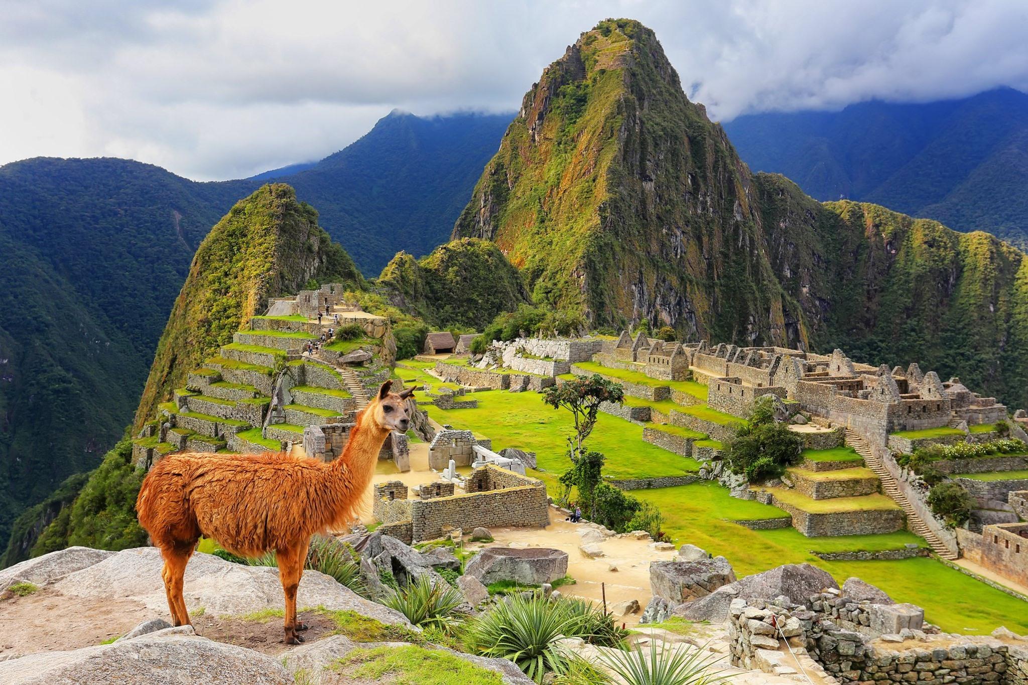 Após brasileiros vandalizarem Machu Picchu, Peru vai reforçar vigilância de tesouros incas - Mundo - Diário do Nordeste