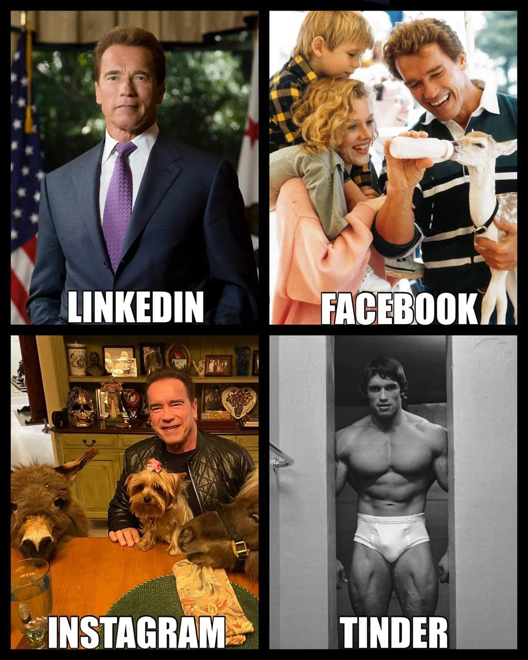 Ator Arnold Schwarzenegger aproveitou para destacar momentos de sua carreira