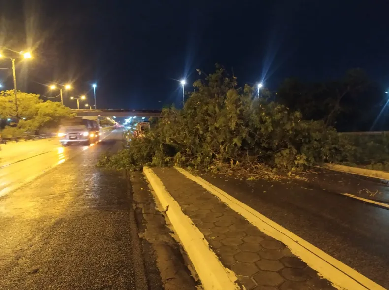 Na rodovia BR-116, próximo ao viaduto da Avenida Oliveira Paiva, uma árvore foi derrubada por causa da força dos ventos
