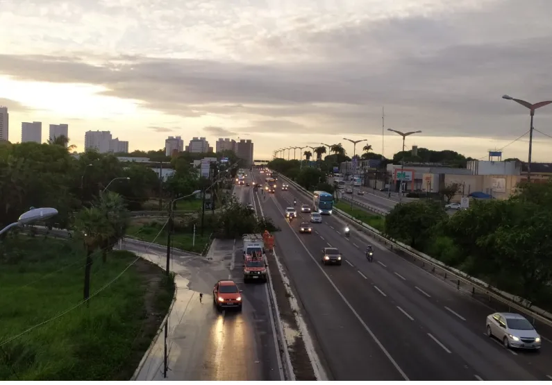 Árvore caída na BR-116 próximo ao viaduto da Avenida Oliveira Paiva. Trecho bloqueado
