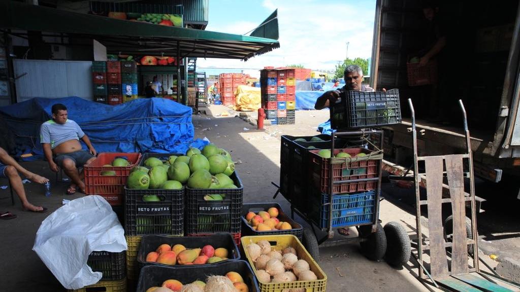 Preços de frutas e hortaliças reduzem na Ceasa em janeiro por conta das  chuvas - Negócios - Diário do Nordeste