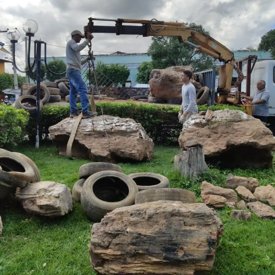 O material será usado em estudos sobre a condução de água e ecologia da planta.