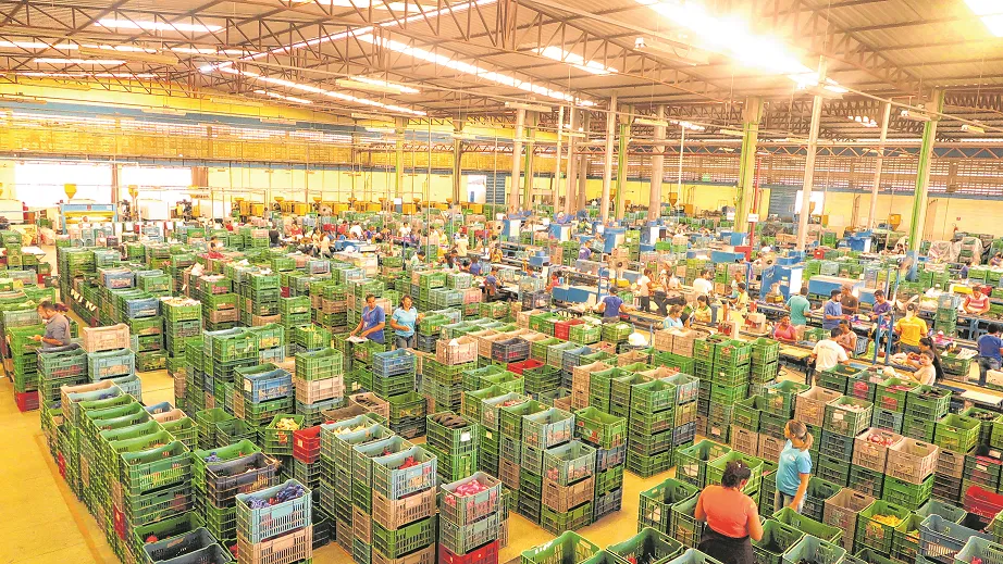 O Ceará fornece incentivos fiscais a diversas empresas, como indústrias de calçados