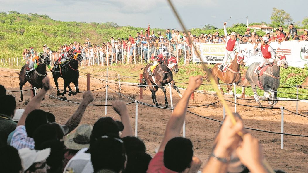 No 'turfe' de equinos, Quarto de Milha está na frente no Brasil