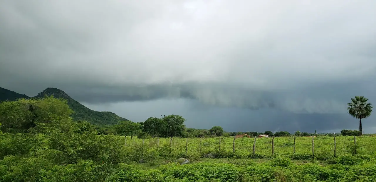Imagem da notícia Chove em mais de 50 cidades cearenses pelo trigésimo dia consecutivo