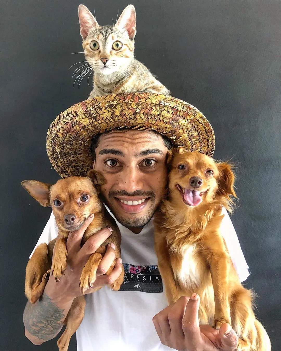Além de Jasper, Yorge também adotou outro bichinhos