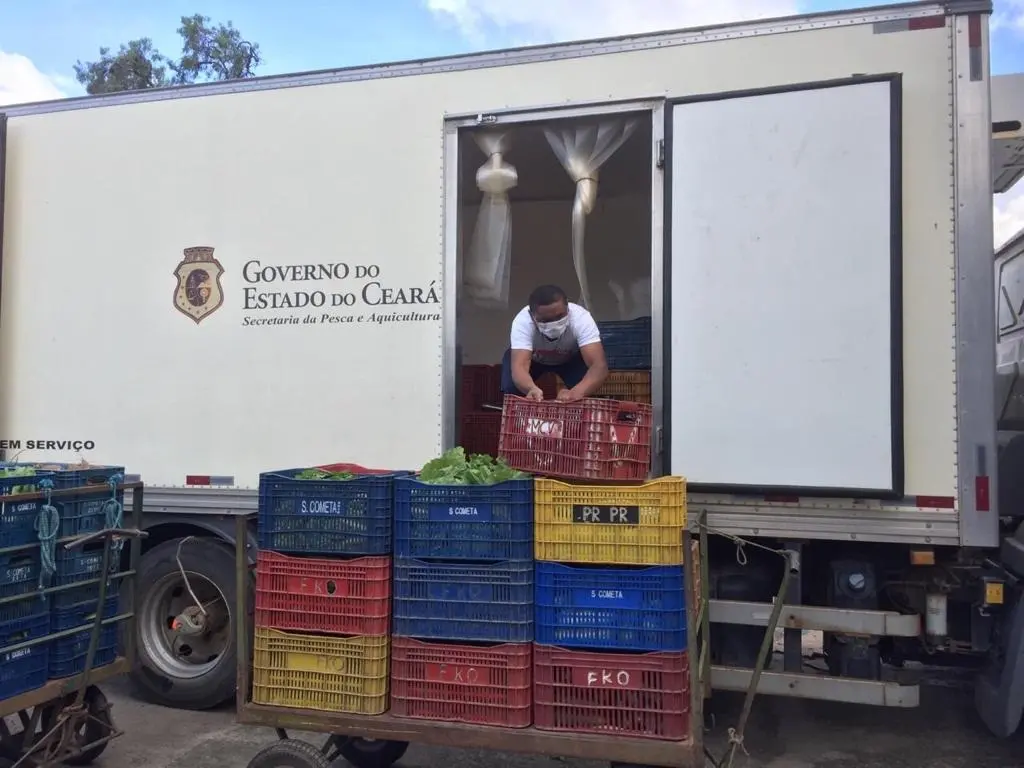 Imagem da notícia Mais de 4 toneladas de alimentos são doadas para moradores atingidos por desastre em Hidrolândia
