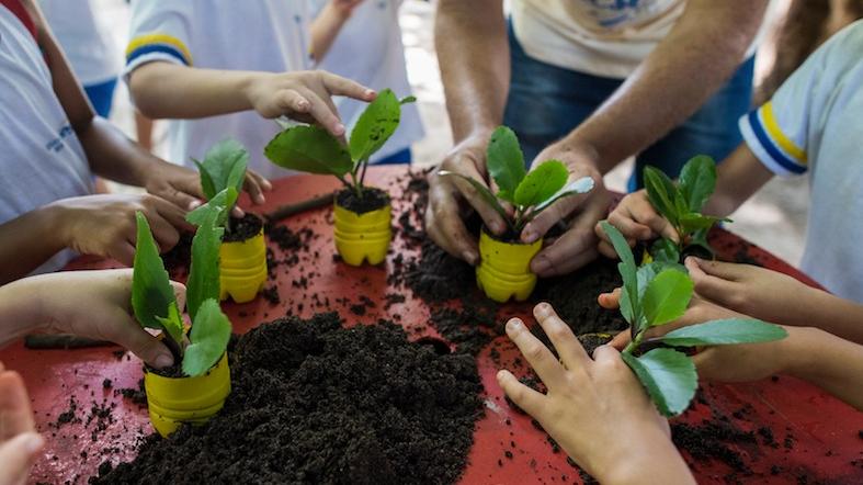 Meio Ambiente A Relacao Entre O Meio Ambiente E As Empresas Universe