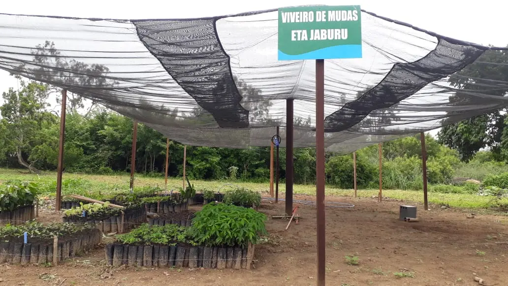 ETA Jaburu produção de mudas nativas
