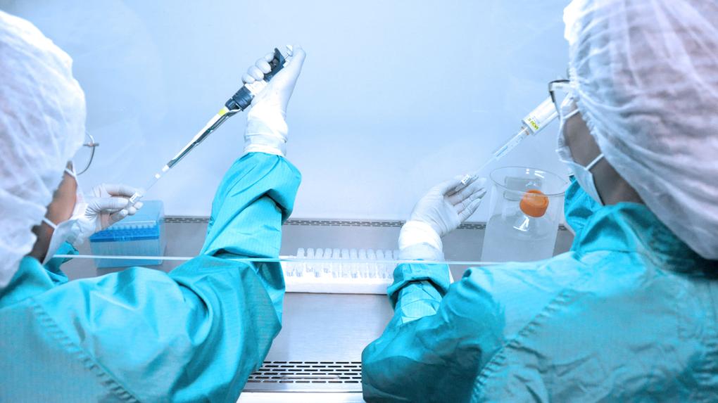 Técnicos da Fiocruz trabalham em kit de diagnóstico do coronavírus