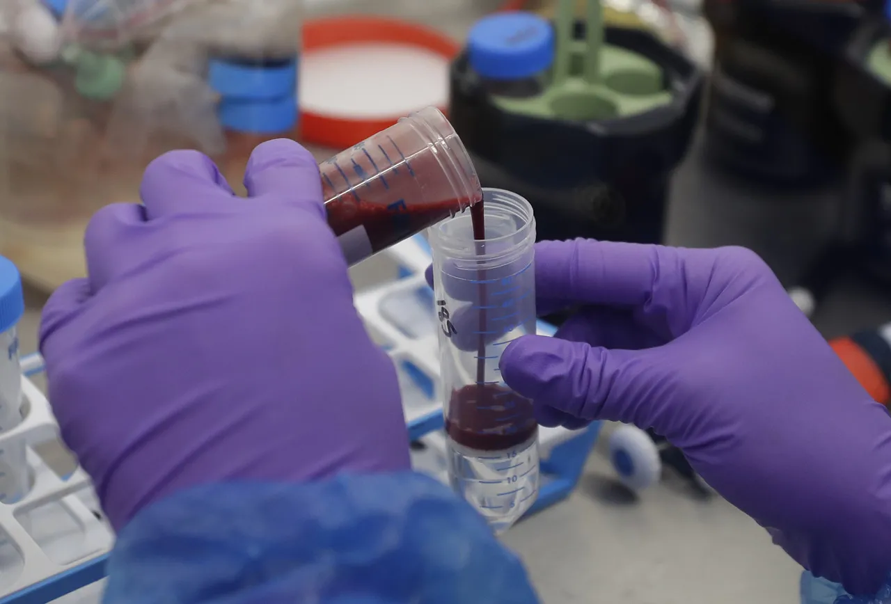 O Ceará já realizou quase 220 mil testes para identificação da doença.