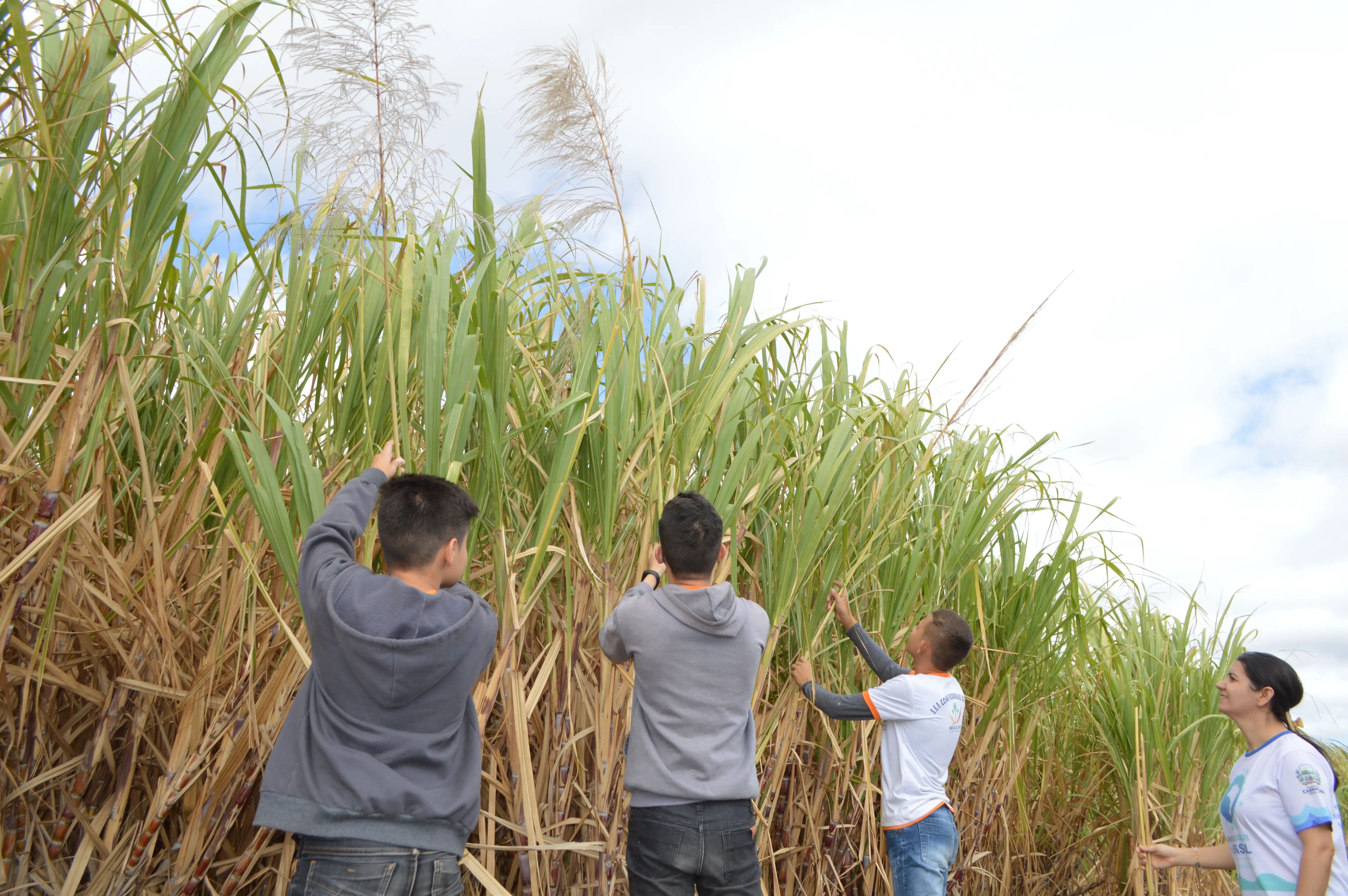 Alunos produzem canudos ecológicos em Carnaubal