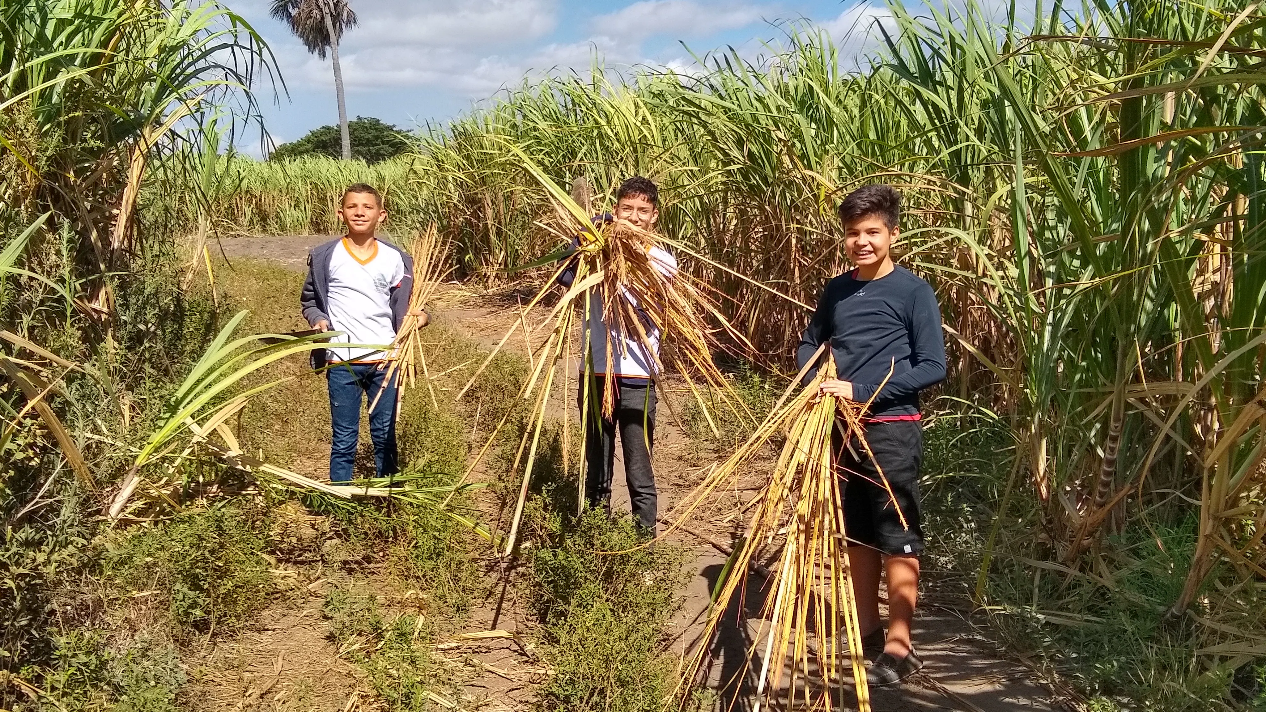 Alunos criam canudo ecológico em Carnaubal
