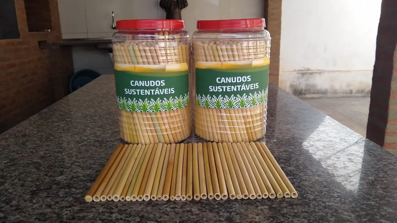 A principal vantagem dos canudos feitos da flor da cana-de-açúcar é ter um menor tempo de decomposição - entre 3 a 5 meses.