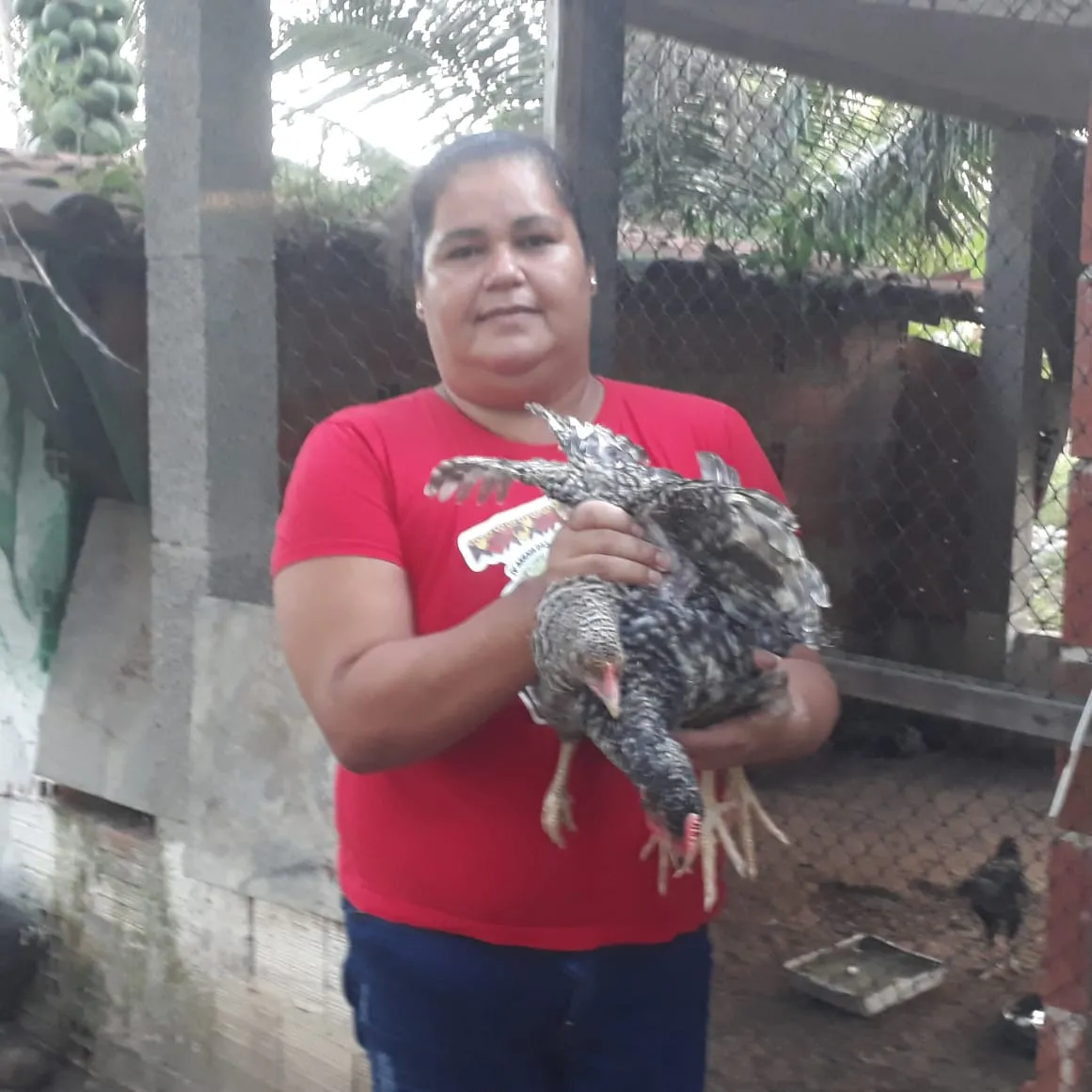Dona Nirinha conta que realiza a venda aos domingos e cada kit, que contempla uma galinha, cuscuz, feijão verde, abóbora, batata doce e macaxeira, custa R$ 50.