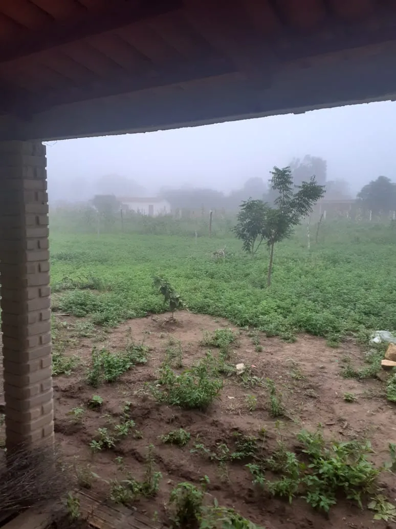 Na Serra Olho D'água, em Jardim, moradores acordaram com neblina devido às baixas temperaturas.