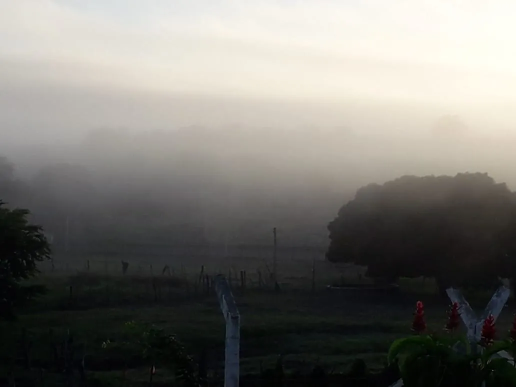 No Interior do Estado, em manhãs mais frias, a nevoa tem encoberto a paisagem