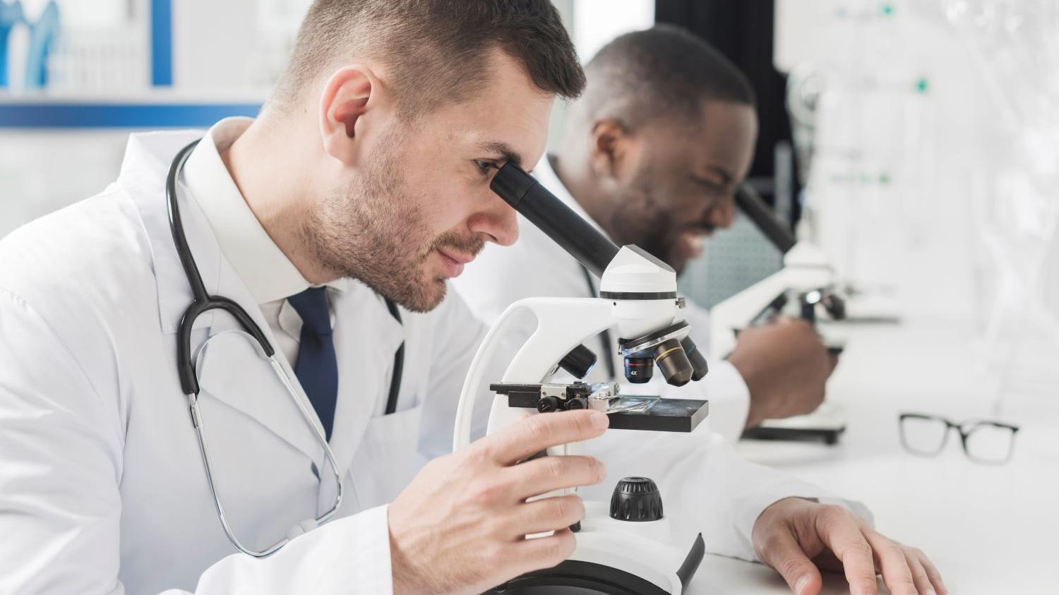 A Ideia Dos Pesquisadores Da Universidade De Northhumbria
